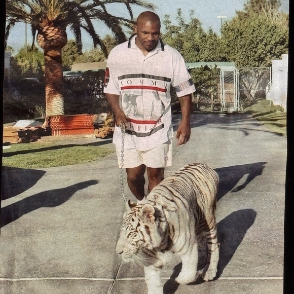 Mike Tyson Tiger Walk Black Cotton Graphic T-Shirt - Picture 2 of 4